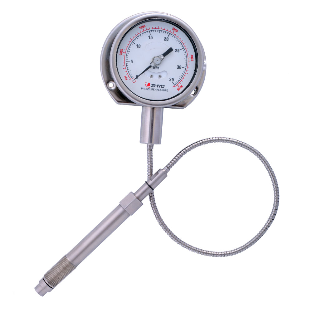 PT124Y-615- Flexible stem melt pressure gauge